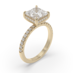 Classic Princess - Image 4